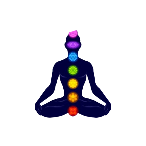 Dishaa Bansall Chakra Balancing